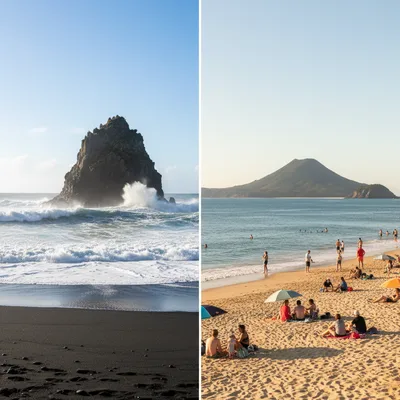 A panoramic view of Auckland's diverse coastline, showing the black sands of Piha Beach on one side and the calm, golden shores of Mission Bay on the other.
